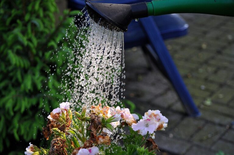 להשקות את הגינה שלך ביד